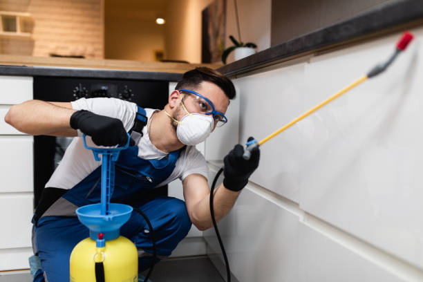 Best Best Pest Control Companies  in Sebastian, TX