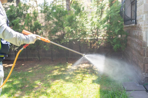 Best Spider Control Near Me  in Sebastian, TX