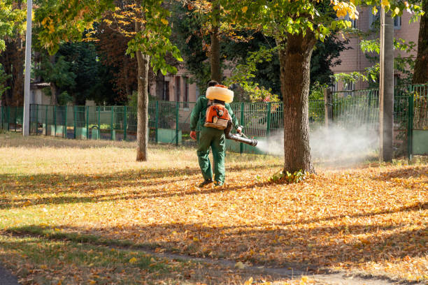 Best Affordable Pest Control Services  in Sebastian, TX
