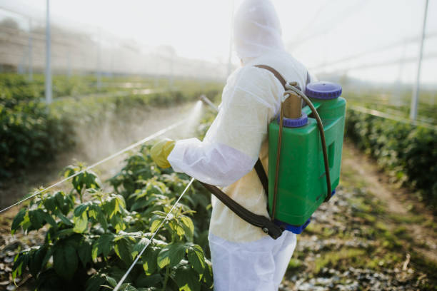 Best Pest Control Near Me  in Sebastian, TX